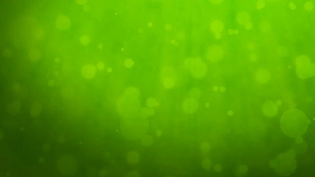 Abstract green background with floating particles. Seamlessly loopable animation.
