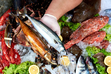 Verkäufer präsentiert einen frischen und geräucherten Makrelenfisch im Fischgeschäft