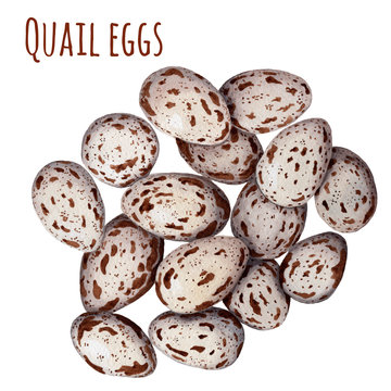 Watercolor Quail Eggs