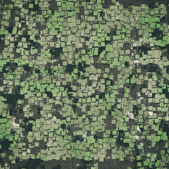 Abstract Paint Chips Urban Green