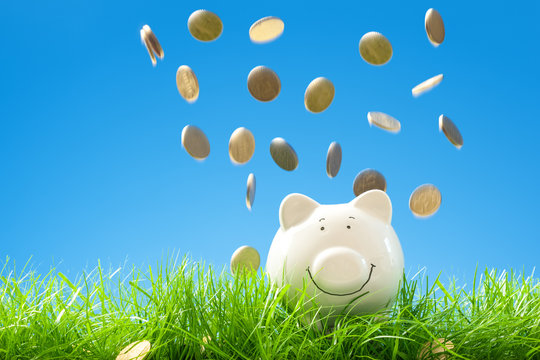 Happy Piggy Bank with falling money in Grass, Blue Sky