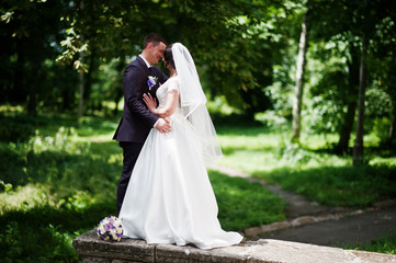 Magnificent wedding couple background green park in love.