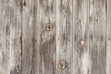 Fototapeta premium The old wood texture with natural patterns