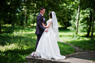 Magnificent wedding couple background green park in love.