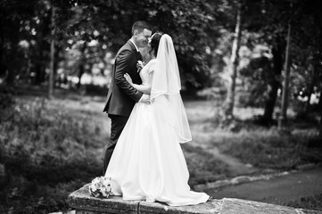 Magnificent wedding couple background green park in love. Black and white photo.