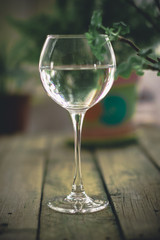 A glass of water on the flowers and plants against