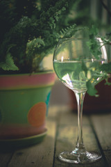 A glass of water on the flowers and plants against