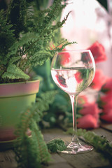 A glass of water on the flowers and plants against