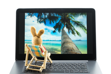 Rabbit doll relaxing on beach chair looking at photo on laptop, Isolated on white background.