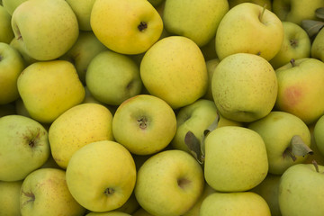 Close up of a pile of sweet fresh ripe green apples. Fruit background. Healthy eating. Fall harvest, agricultural farming concept