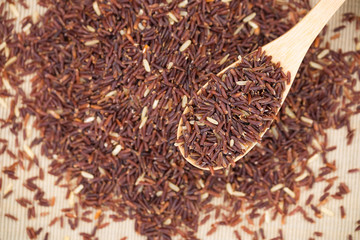 Germinated brown rice, GABA rice.