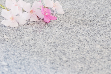 oleander on marble table