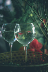 A glass of water on the flowers and plants against
