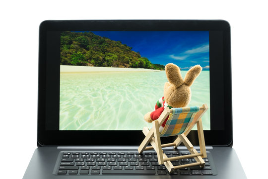 Rabbit doll relaxing on beach chair looking at photo on laptop, Isolated on white background. .