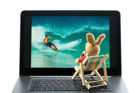 Rabbit doll relaxing on beach chair looking at photo on laptop, Isolated on white background. .