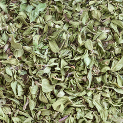 Dry thyme background