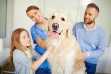 Portrait of happy fluffy retriever surrounded by loving family looking at camera with its tongue out