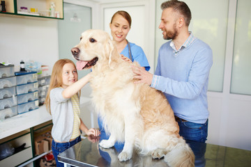 Father and daughter petting their beautiful fluffy dog while vet giving them diet and training recommendations