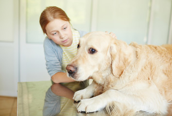Red-haired girl petting and soothing her scared dog lying on table in vet clinic before treatment