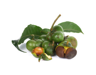 tea seeds on white background