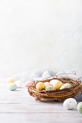 Easter composition of colorful quail eggs in the nest on the light wooden background. Holiday concept with copy space.