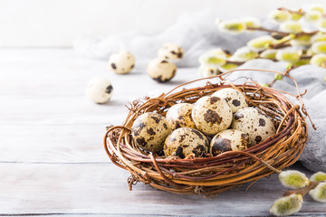 Easter composition of quail eggs in the nest on the light wooden background. Holiday concept with copy space.