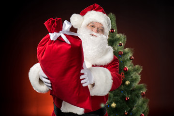 Happy Santa Claus showing big sack