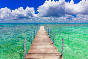 Fototapeta premium sandy sea beach
