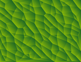 Green polygon abstract triangulated background, vector illustration