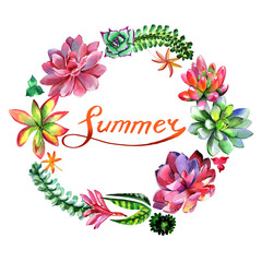 Wildflower succulentus flower frame in a watercolor style isolated.