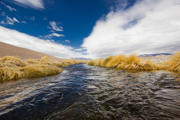 Der Fluss in der Wüste