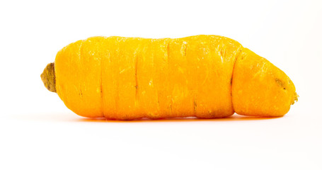 A single carrot isolated on a white background