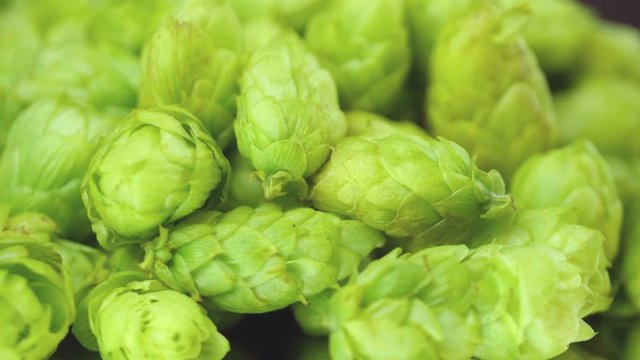  High quality video of rotating hops in 4K
