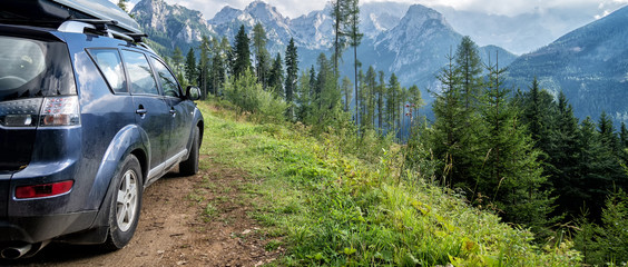 car for traveling © nickolya