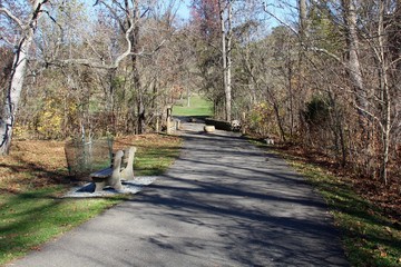 The walkway in the park.
