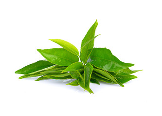 green tea leaf isolated on white background
