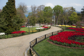 Turkey Istanbul Tulip festival