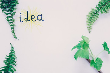 White background with a sign with leaves and flowers