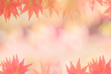 Autumn backgrounds [Soft focus]