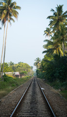 Fototapeta na wymiar Railway tracks in jungle sri lanka