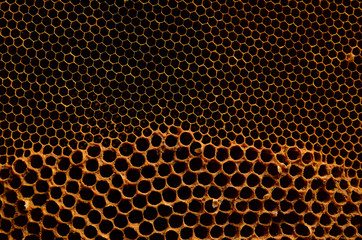 Honeycomb a background