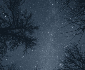 Starry sky above the village