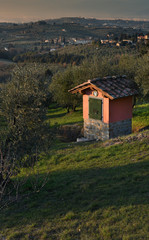 Fototapeta na wymiar water well in a field of olive trees in Tuscany, Italy
