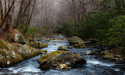 "River Wild"  The Tellico River starts its journey in the Unicoi Mountains of North Carolina but spends most of its time in the Cherokee National Forest of Tennessee. 