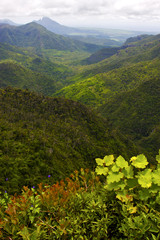 black river mountain  mauritius