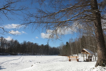 Bench and gazebo in the woods. Russia
