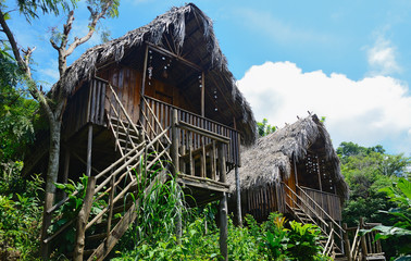 bungalows with thatched roof in a tropical forest