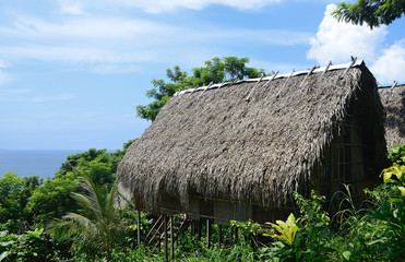 bungalow with thatched roof in a tropical forest