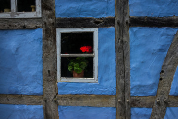 The flowers in window of an old farmhouse