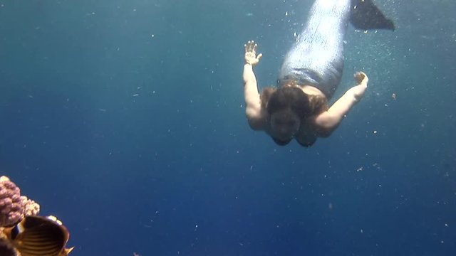 Underwater model free diver swims in clean transparent blue water in Red Sea. Young girl smiling at camera. Filming a movie in marine landscape, coral reefs, ocean inhabitants.
